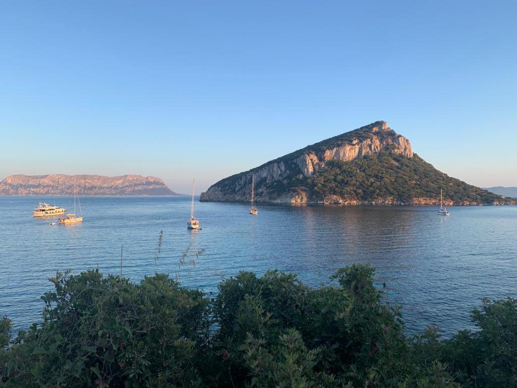 Appartamenti Le Primule Golfo Aranci Exterior foto
